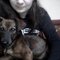 Snapshot_20130302_3.JPG