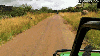 anigif_enhanced-buzz-14107-1363275820-17.gif