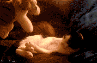 tumblr_mklqw1axYG1s8w999o1_400.gif