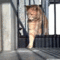 tumblr_mlurq6DlGG1s6x0pho1_250.gif