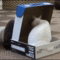 tumblr_mn68tukuuZ1qdlh1io1_250.gif