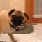 i1wQhmN4GQK8A.gif