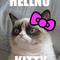 hellno-kitty.jpg