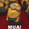 tumblr_mqifq9YhMt1rlrct3o1_250.gif