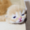 tumblr_mszgbdPWFc1rw1wnno1_400.gif