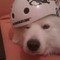 IMAG0235.jpg