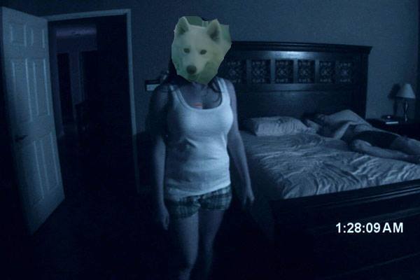 1489268_10201844967183988_791579113_n.jpg