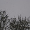P1260464.JPG