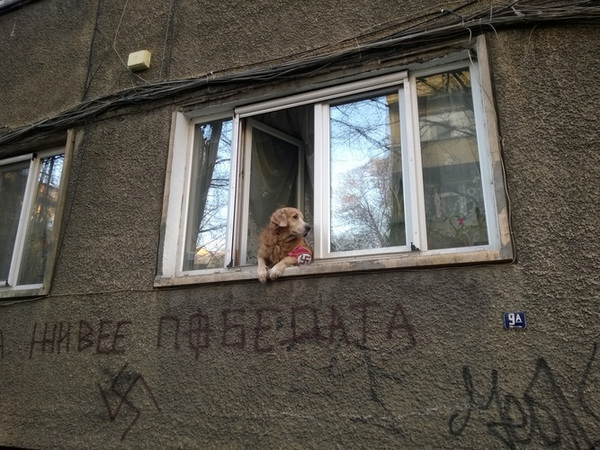 1390850429551791_largee.jpg