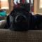 daily_gifdump_520_03.gif