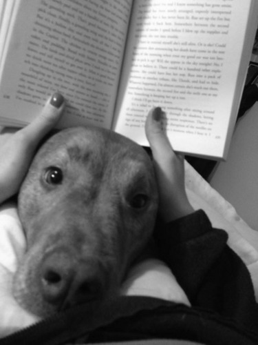 tumblr_n11ryn6pwa1racc9so1_500.jpg