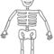 Skeleton-Coloring-Page.gif