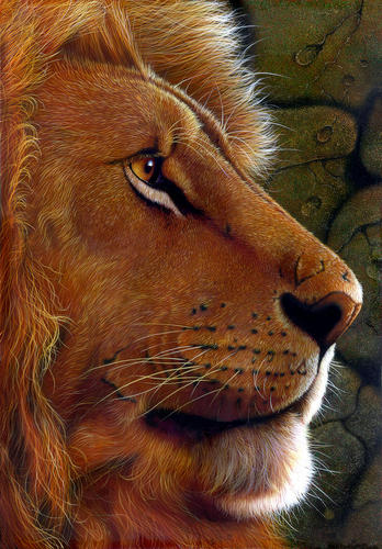 my lion soul.jpg