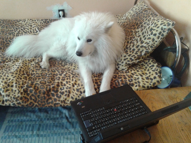 20140319_160108.jpg