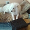 20140319_160108.jpg