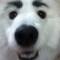 IMG_6767161383414.jpeg