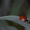 tumblr_n2gguzsUUm1t49ok1o1_400.gif