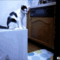 84174567.gif