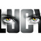 luct-review-img00.jpg