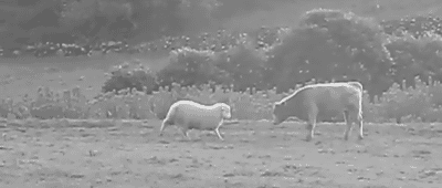 tumblr_mt52so7mJ31qmbg8bo1_r1_400.gif