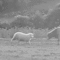 tumblr_mt52so7mJ31qmbg8bo1_r1_400.gif