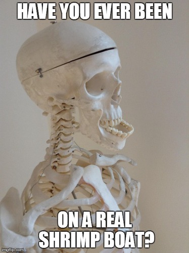 pwlA8hf.jpg