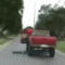 dumb guy of the day red truck.gif