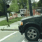 duck-mother-protection-little-duck-amazing.gif