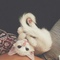 tumblr_njvmgeTZRj1rd6cj9o1_1280.jpg