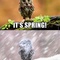 funny-pictures-is-it-spring-nope-owl.jpg