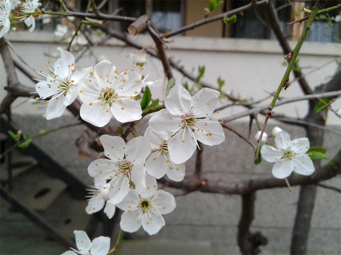 20150327_153109s.jpg