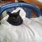 20150618_130404ed.jpg