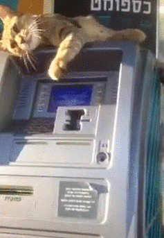 1436103413_1703087915.gif