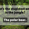 creative-jokes-03.jpg