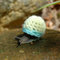 cute-animals-wearing-tiny-sweaters-5-57ff4f758018d__605.jpg